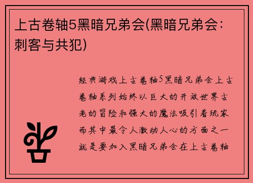 上古卷轴5黑暗兄弟会(黑暗兄弟会:刺客与共犯)